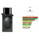 Burberry prueba.webp