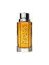The Scent Eau de Toilette 100ml